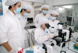 Ngành KH&CN dồn sức hoàn thành nhiệm vụ của năm